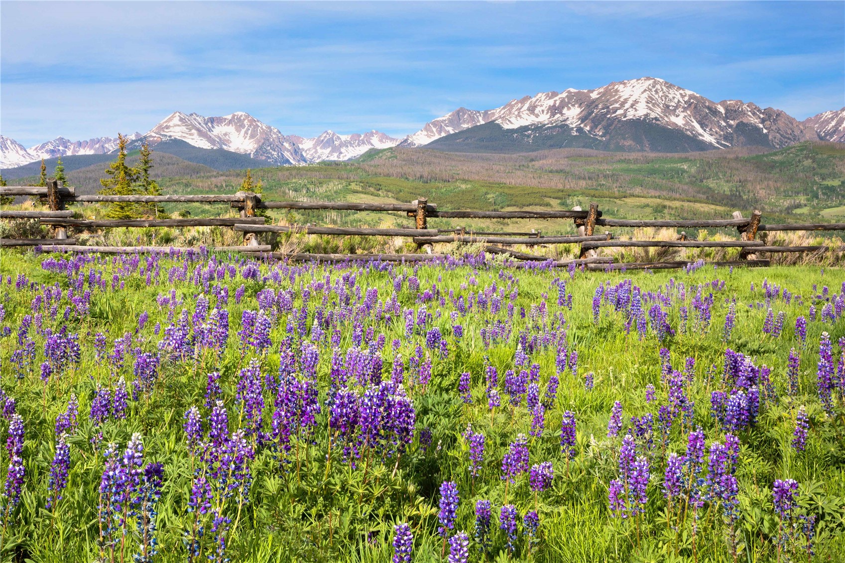 988 Bald Eagle Road Silverthorne, CO 80498 - Photo 19 of 20