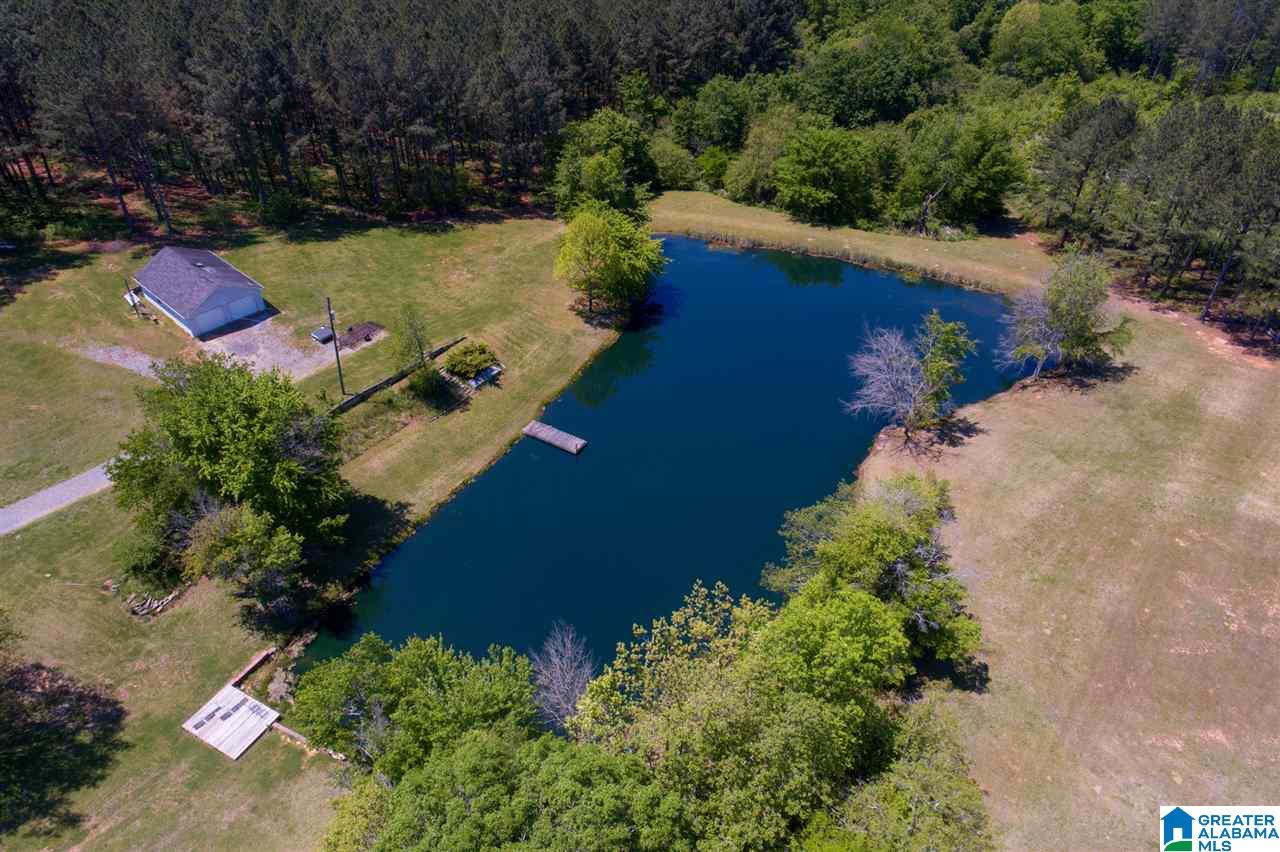2475 Co Highway 24 Springville, AL 35146 - Photo 24 of 43