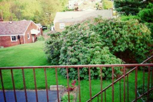 1426 Evelyn Road Baldwin, PA 15227 - Photo 7 of 8 Yard/Garden.