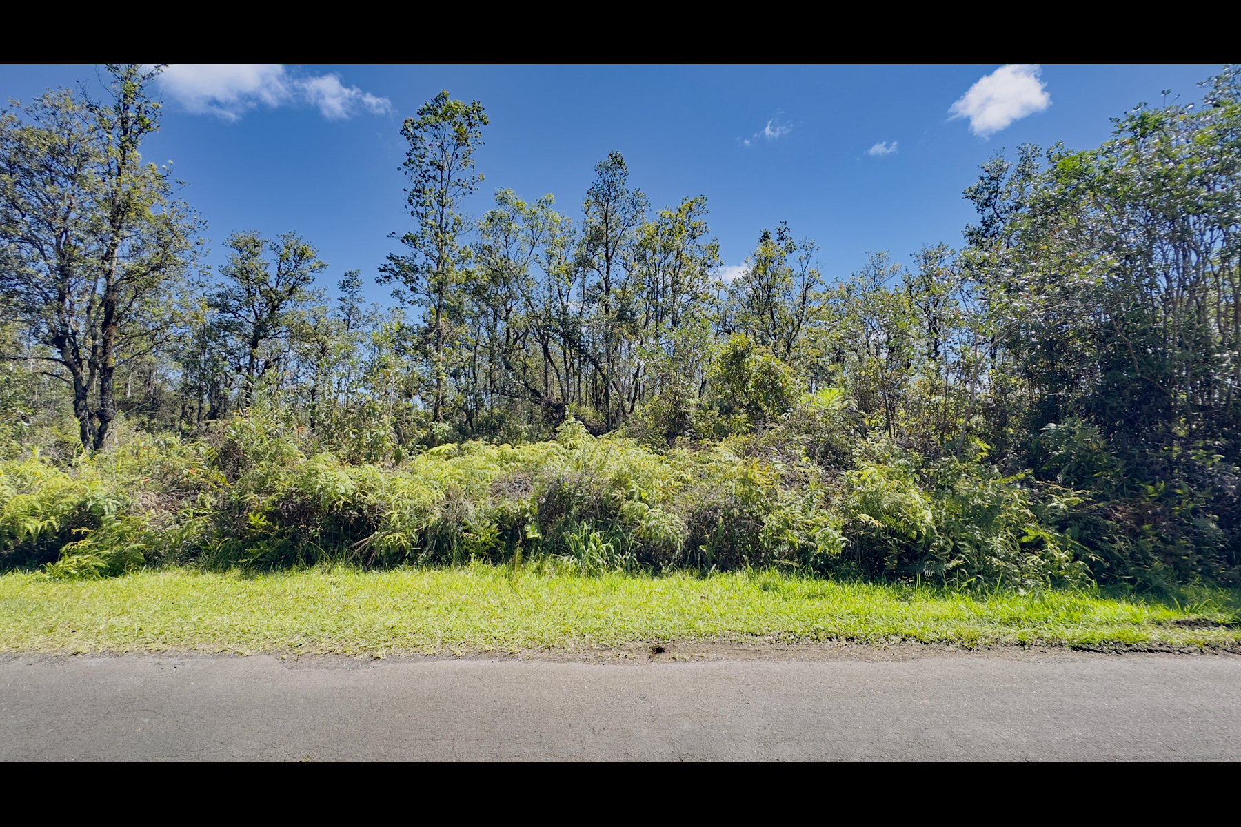 7876 Pikake Street Mountain View, HI 96771 - Photo 8 of 16 a view of a yard