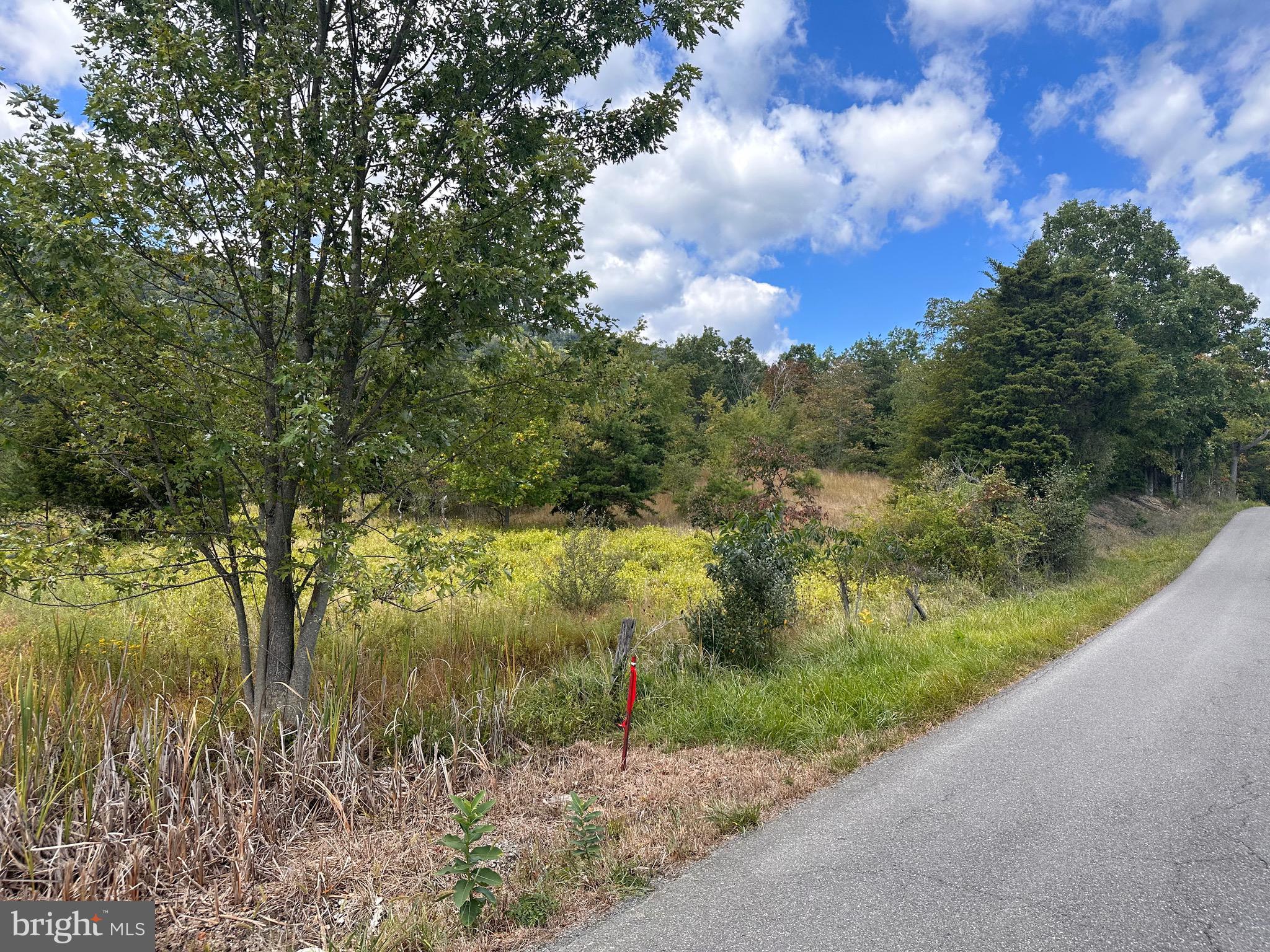 Knobley Road Keyser, WV 26726 - Photo 18 of 19