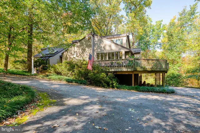 a view of a yard with plants and trees