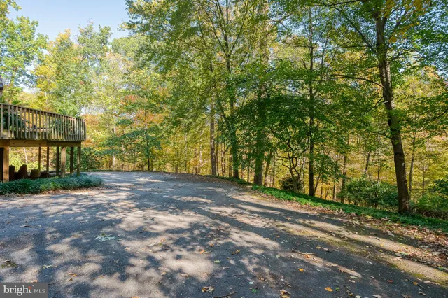 a view of a yard with an trees