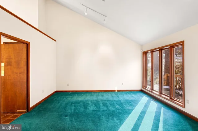 a view of a yard with plants and trees