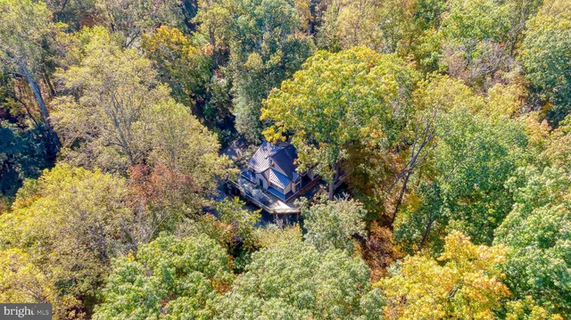 a green field with lots of trees