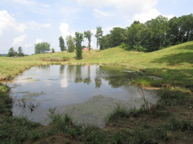 16.92-ac Carl Rogers Road Moss, TN 38575 - Photo 16 of 32 IMG_2873
