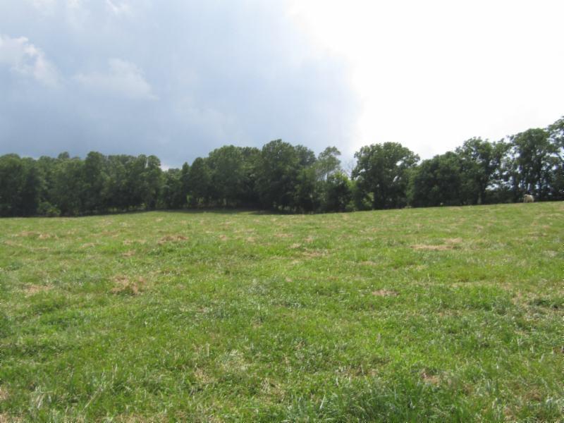 16.92-ac Carl Rogers Road Moss, TN 38575 - Photo 20 of 32 IMG_2856