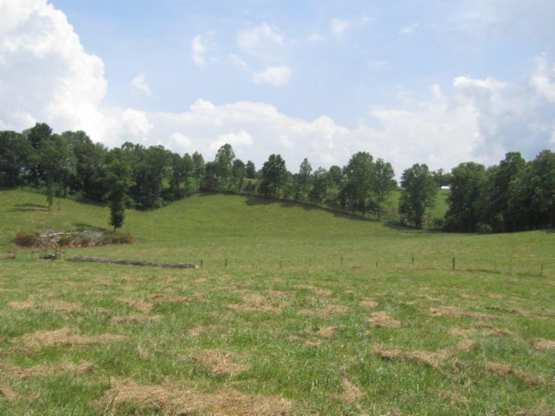 16.92-ac Carl Rogers Road Moss, TN 38575 - Photo 21 of 32 IMG_2862