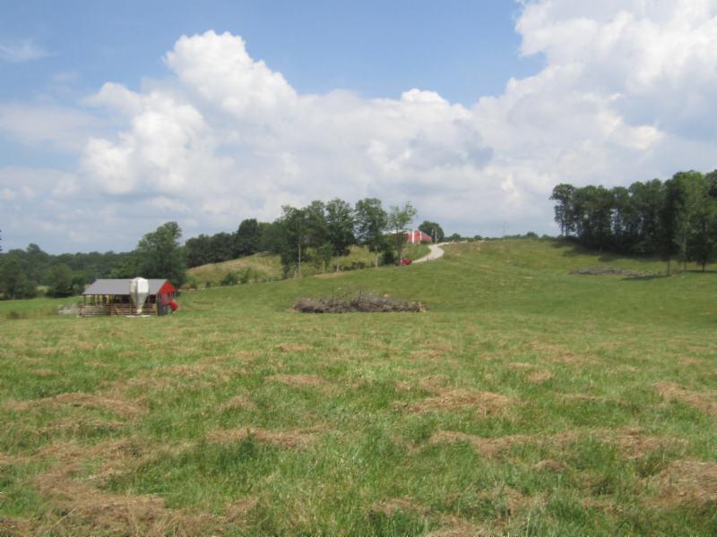 16.92-ac Carl Rogers Road Moss, TN 38575 - Photo 23 of 32 IMG_2863