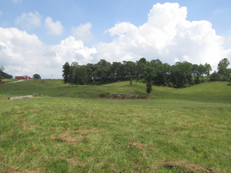 16.92-ac Carl Rogers Road Moss, TN 38575 - Photo 25 of 32 IMG_2870