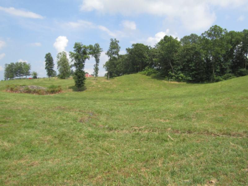 16.92-ac Carl Rogers Road Moss, TN 38575 - Photo 27 of 32 IMG_2878