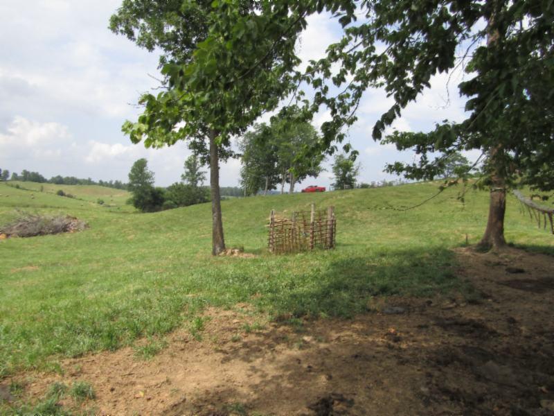 16.92-ac Carl Rogers Road Moss, TN 38575 - Photo 28 of 32 IMG_2893