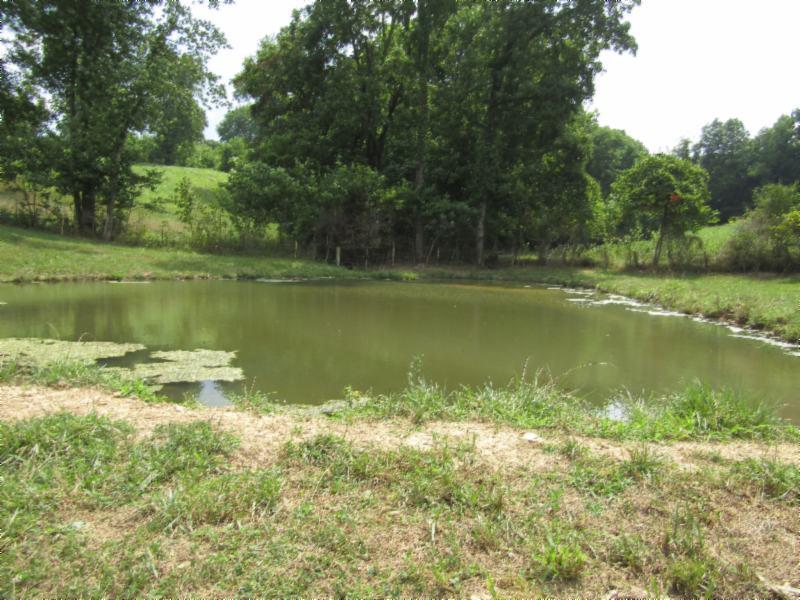16.92-ac Carl Rogers Road Moss, TN 38575 - Photo 30 of 32 SPRING FED POND 2