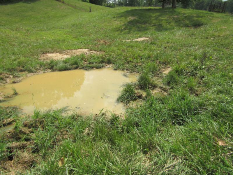 16.92-ac Carl Rogers Road Moss, TN 38575 - Photo 31 of 32 SPRING