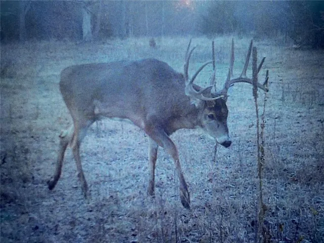 $834,600 | South Shawnee Heights Road, Quenemo, KS 66528