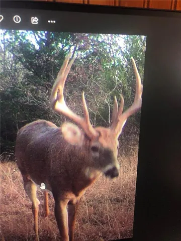 $834,600 | South Shawnee Heights Road, Quenemo, KS 66528