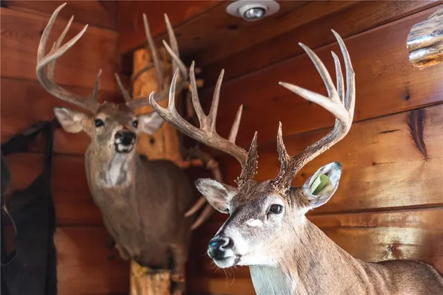 $834,600 | South Shawnee Heights Road, Quenemo, KS 66528