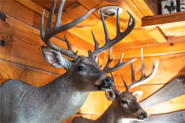 $834,600 | South Shawnee Heights Road, Quenemo, KS 66528