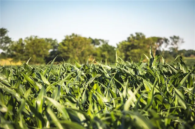 $834,600 | South Shawnee Heights Road, Quenemo, KS 66528