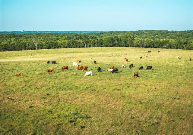 $834,600 | South Shawnee Heights Road, Quenemo, KS 66528