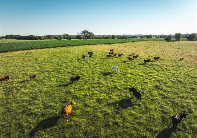 $834,600 | South Shawnee Heights Road, Quenemo, KS 66528