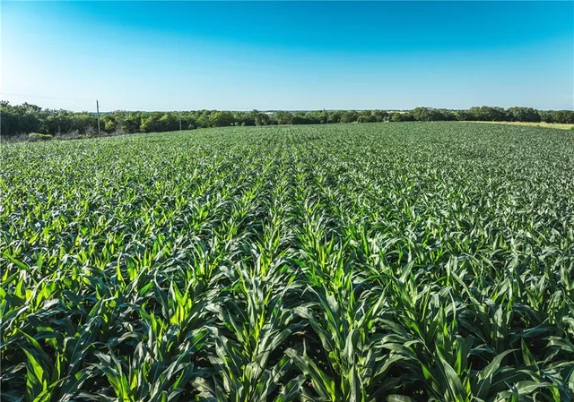 $834,600 | South Shawnee Heights Road, Quenemo, KS 66528