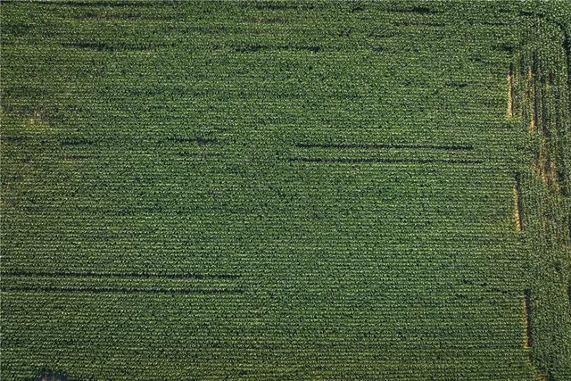 $834,600 | South Shawnee Heights Road, Quenemo, KS 66528