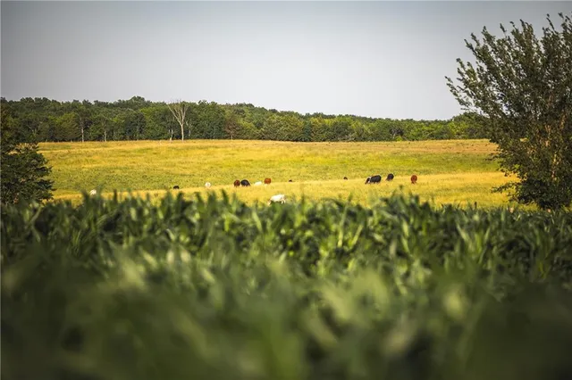 $834,600 | South Shawnee Heights Road, Quenemo, KS 66528