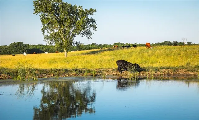 $834,600 | South Shawnee Heights Road, Quenemo, KS 66528