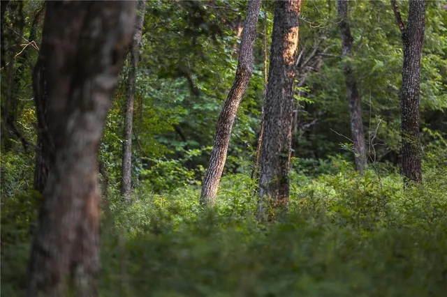 $834,600 | South Shawnee Heights Road, Quenemo, KS 66528