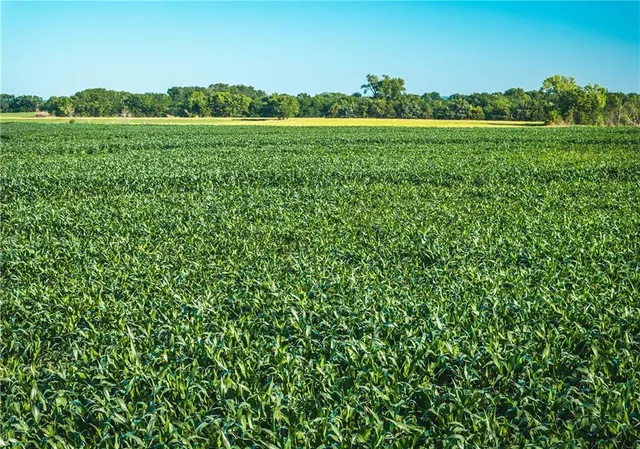 $834,600 | South Shawnee Heights Road, Quenemo, KS 66528