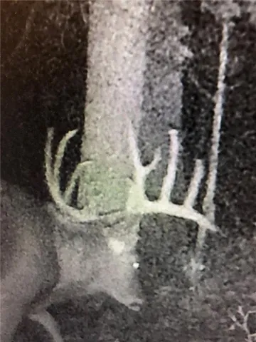 $834,600 | South Shawnee Heights Road, Quenemo, KS 66528