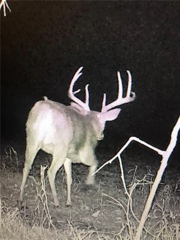 $834,600 | South Shawnee Heights Road, Quenemo, KS 66528