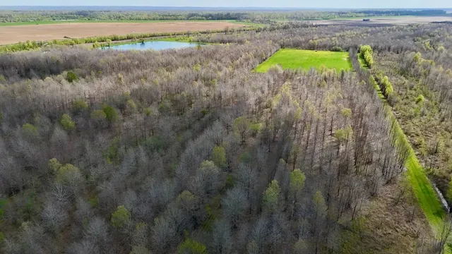 $4,500,000 | 6992 Blackhawk Acme Levee Road, Vidalia, LA 71373