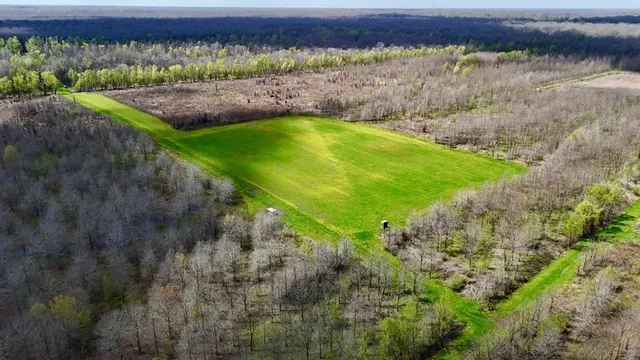 $4,500,000 | 6992 Blackhawk Acme Levee Road, Vidalia, LA 71373