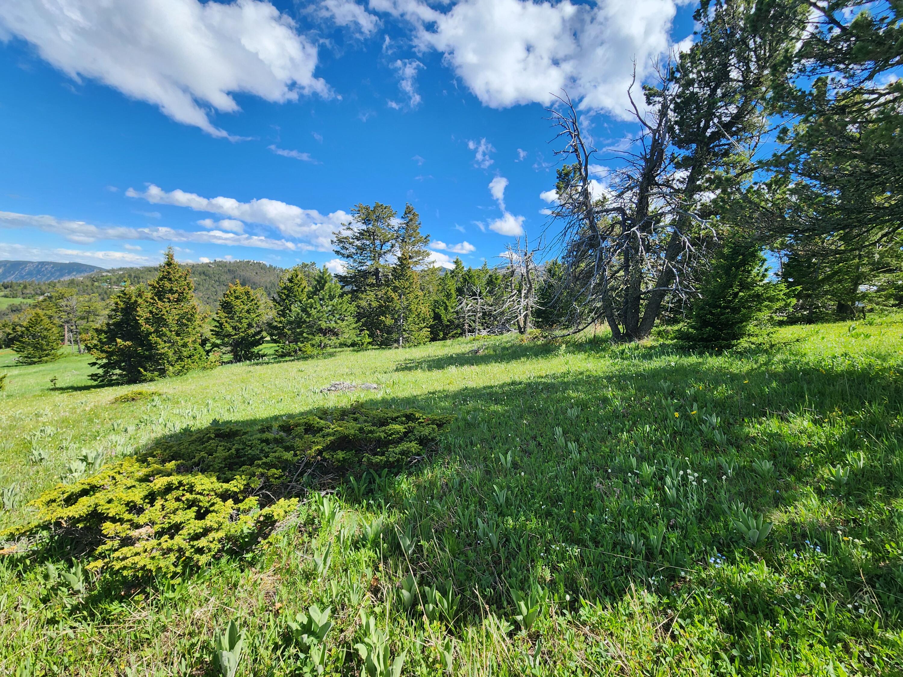 12 Blacktooth Road Big Horn, WY 82833 - Photo 6 of 25 Center of lot
