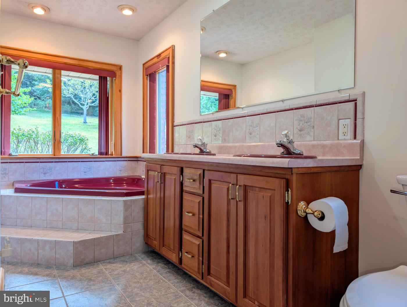 353 Pine Pitch Road Buffalo Mills, PA 15534 - Photo 29 of 83 a bathroom with a sink and a mirror