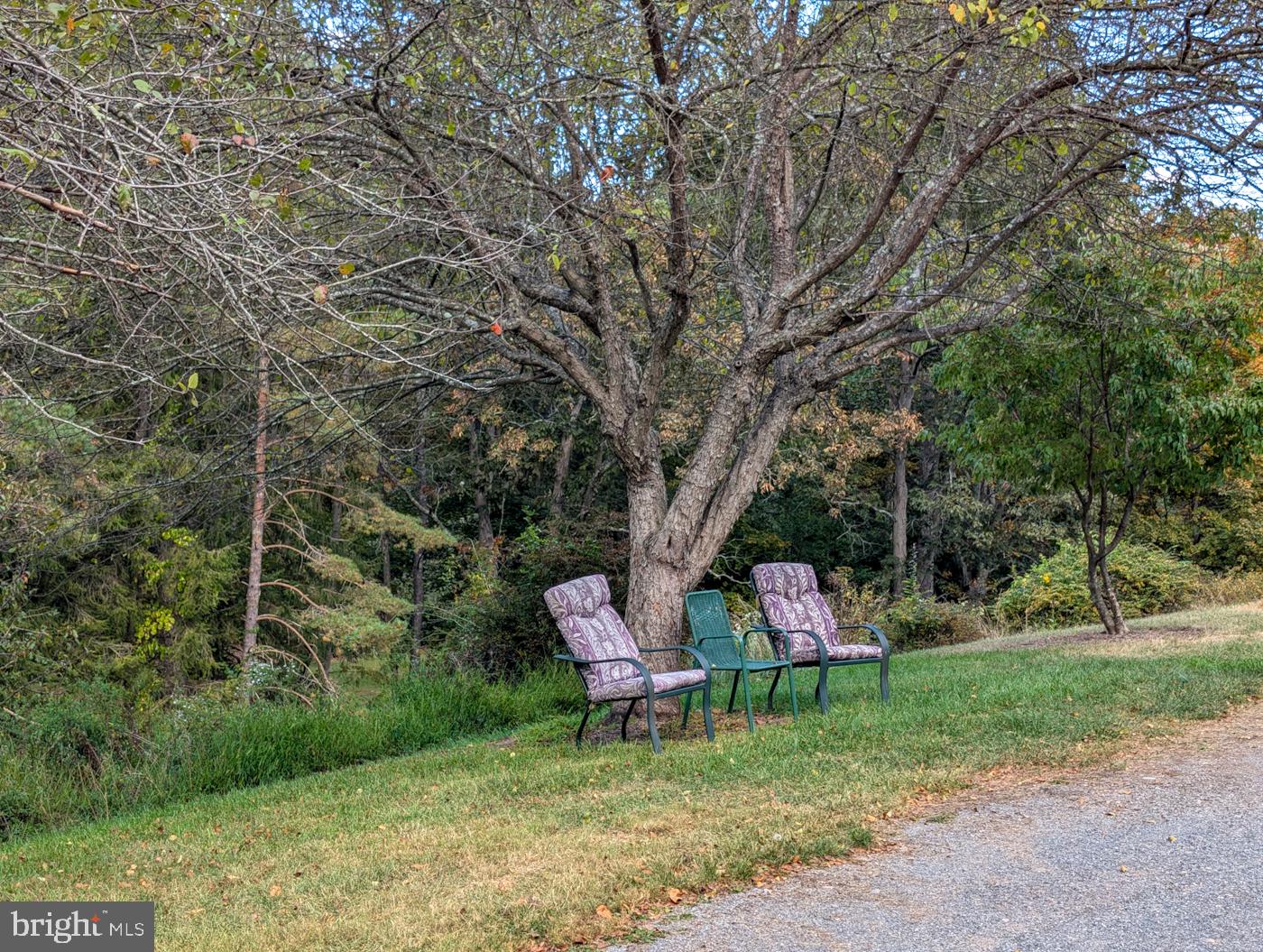 353 Pine Pitch Road Buffalo Mills, PA 15534 - Photo 59 of 83 a table and chairs in the garden