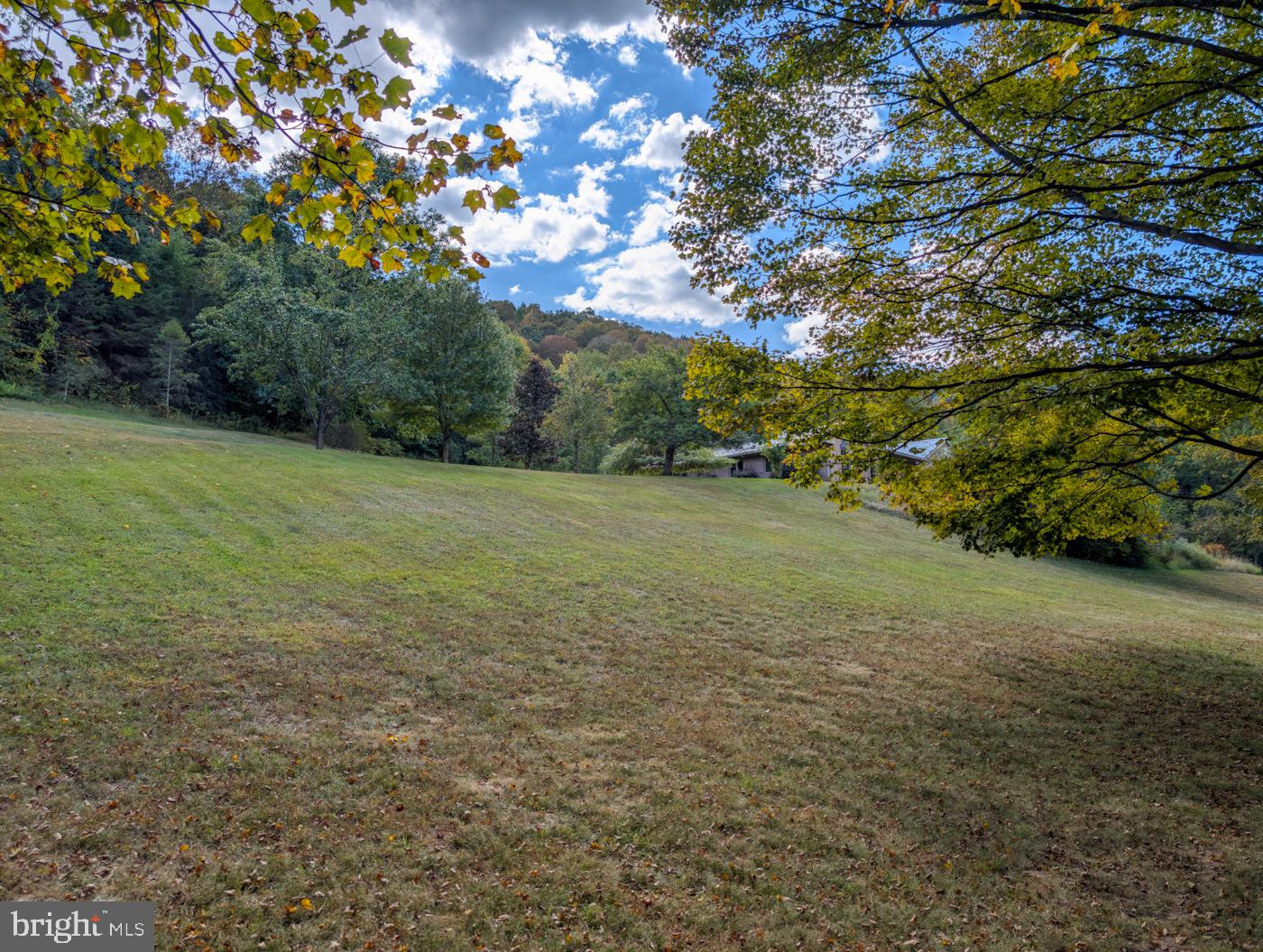 353 Pine Pitch Road Buffalo Mills, PA 15534 - Photo 61 of 83