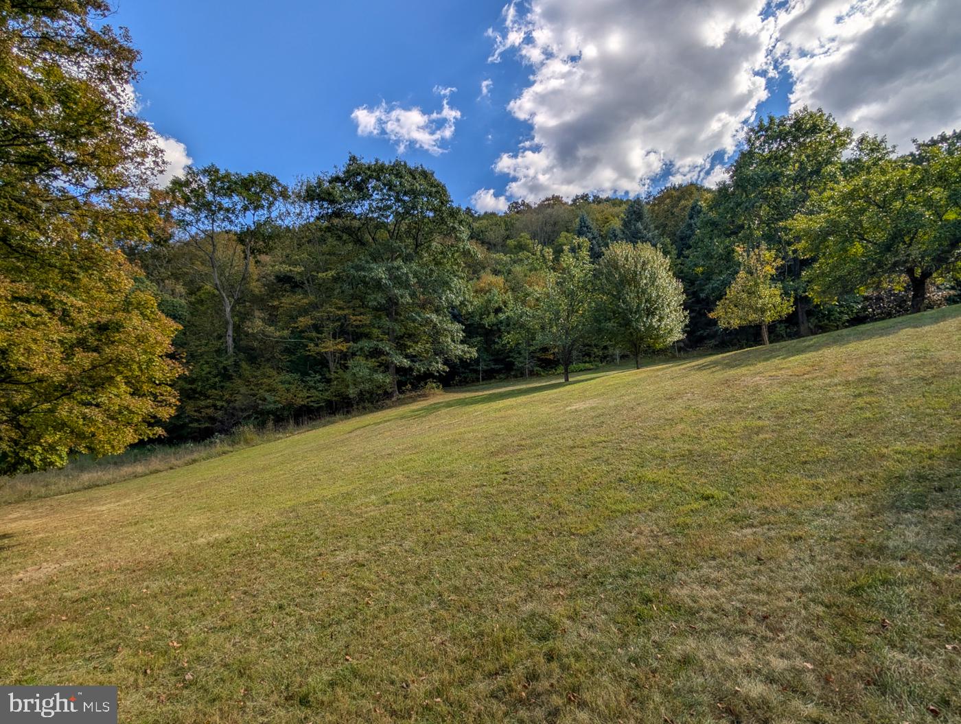 353 Pine Pitch Road Buffalo Mills, PA 15534 - Photo 63 of 83