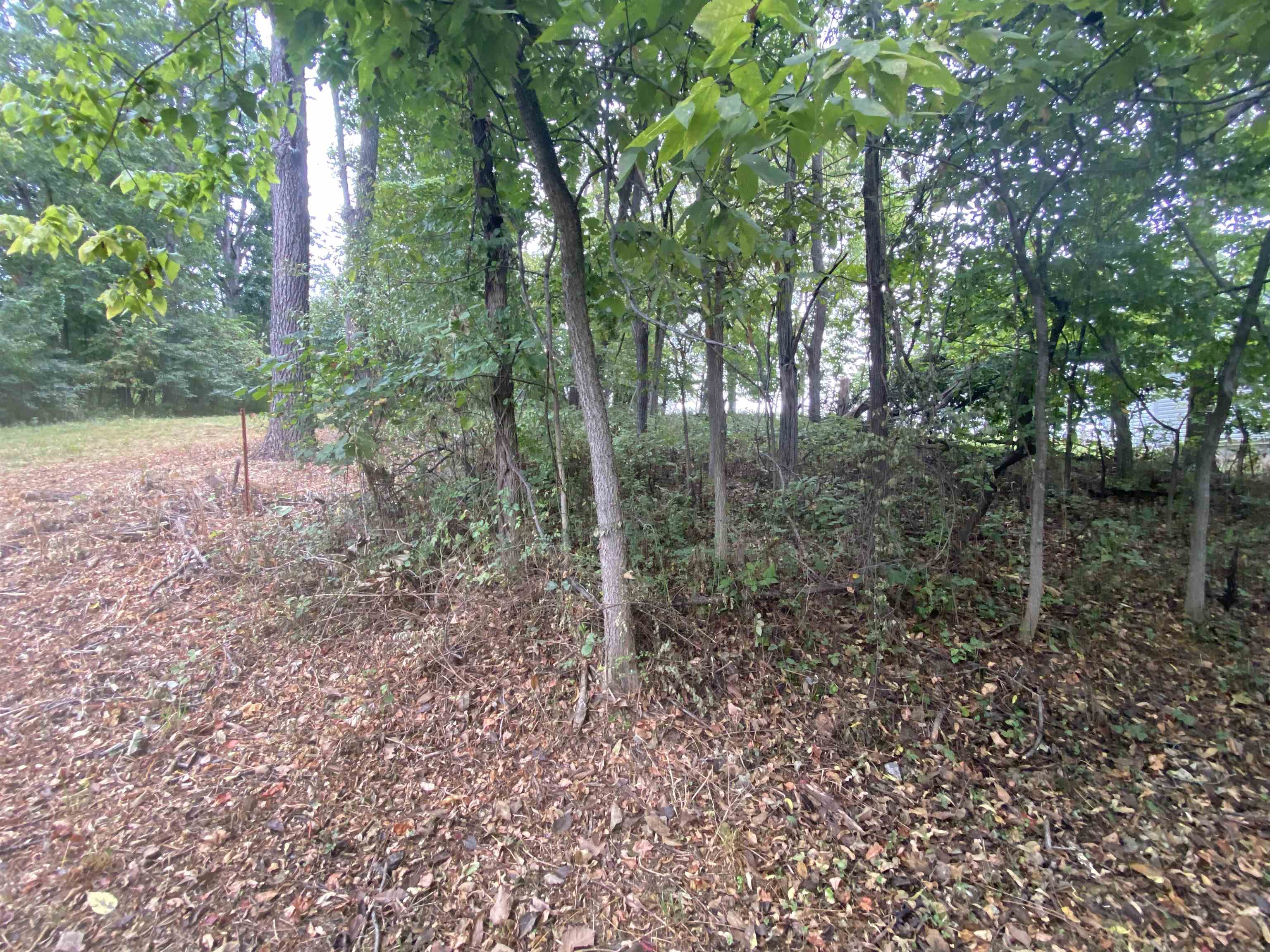 Tbd Hilltop Terrace Road Staunton, VA 24401 - Photo 3 of 3 Gallery Image 3