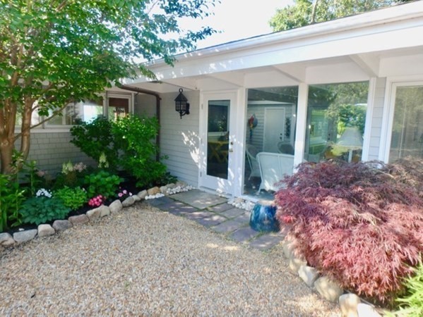 a view of a house with lots of plants and a large tree