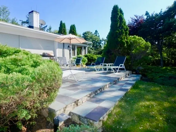 a view of a patio with table and chairs potted plants and large tree