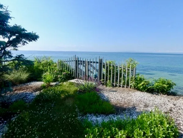 a view of a yard with plants and a bench