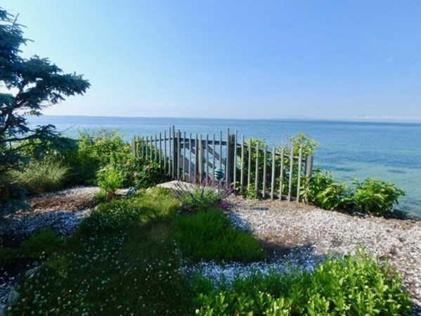 29 Naushon Road West Tisbury, MA 02568 - Photo 25 of 26 a view of a yard with plants and a bench