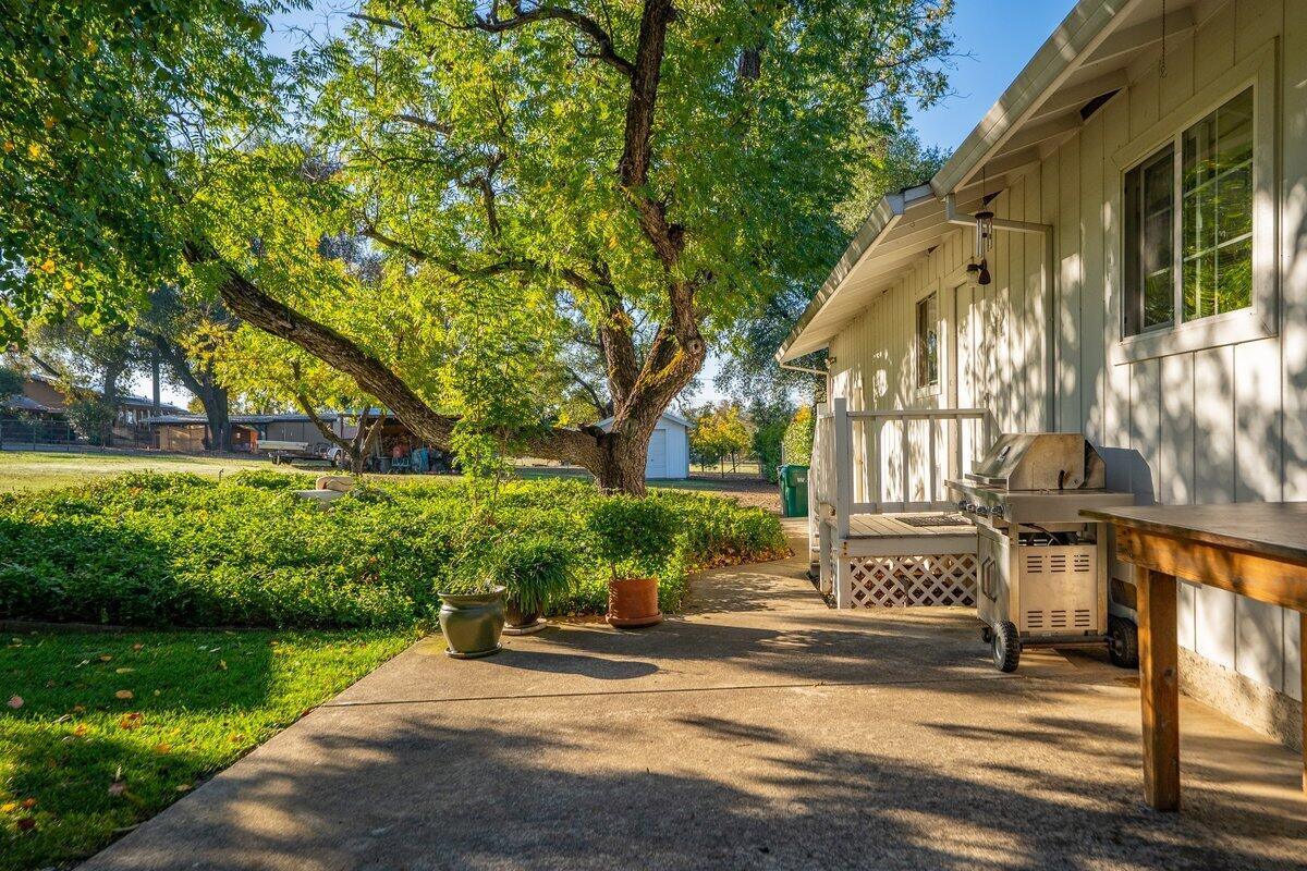 12269 Dry Creek Road Bella Vista, CA 96008 - Photo 40 of 74 a view of a house with a yard and plants