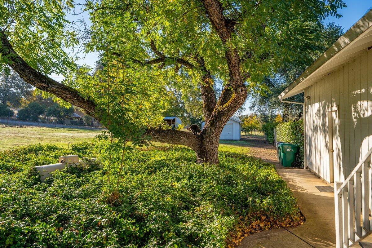 12269 Dry Creek Road Bella Vista, CA 96008 - Photo 42 of 74 12269 Dry Creek Rd - E-10