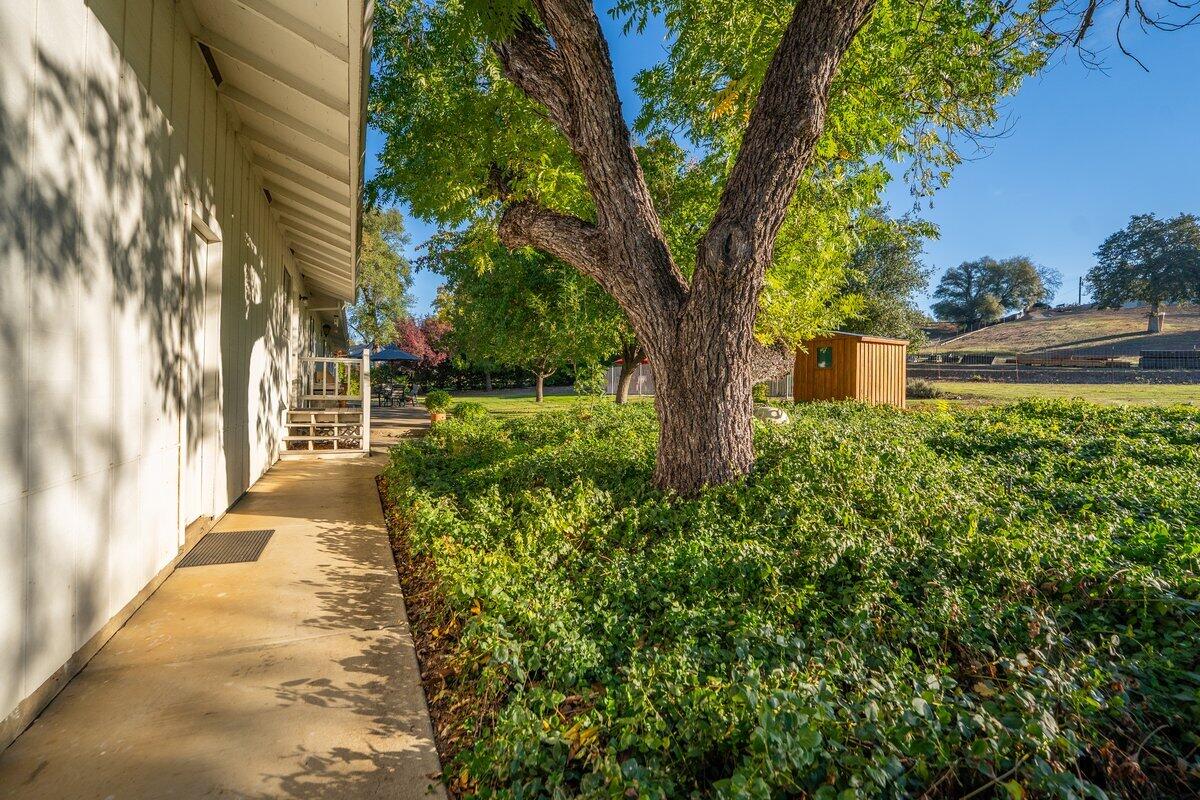 12269 Dry Creek Road Bella Vista, CA 96008 - Photo 61 of 74 a view of a yard with plants and a large tree