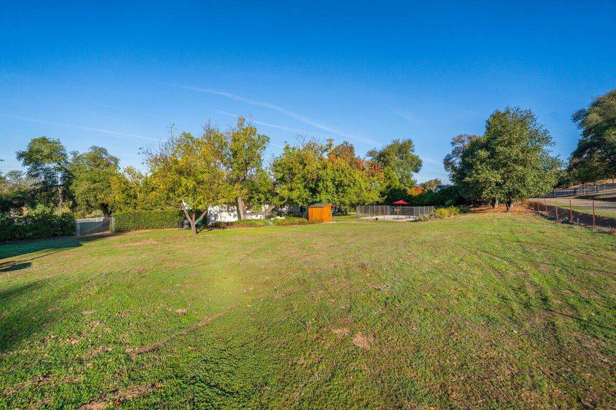 12269 Dry Creek Road Bella Vista, CA 96008 - Photo 62 of 74 a view of yard with swimming pool and trees in the background