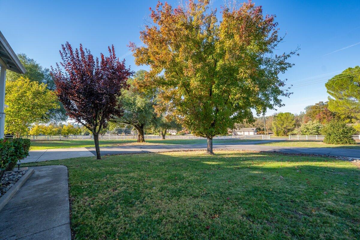 12269 Dry Creek Road Bella Vista, CA 96008 - Photo 67 of 74 12269 Dry Creek Rd - E-36